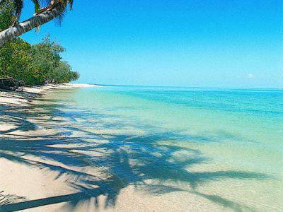 Bedarra Island Hotel Great Barrier Reef Exterior foto